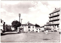 48 - M58660CPM - GRANDRIEU - GRANDRIEUX - La Place - Très Bon état - LOZERE - Gandrieux Saint Amans