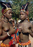 AFRICA - HALF NAKED / NUDE / NU AFRICAN BALLERINAS - 1970s (12379) - Afrika