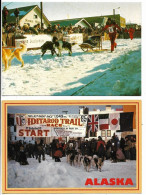 2 Cpm ALASKA Start Famous Sied Dog Race "Iditarod Race" Anchorage To Nome; Susan Butcher Into The Finish Chute In Nome - Other & Unclassified