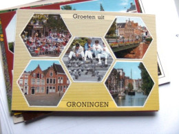 Nederland Holland Pays Bas Groningen Met Duiven Centraal - Groningen