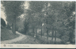 Tongeren - Tongres - L'Entrée Du Beukenberg  - Tongeren