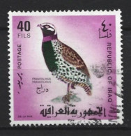 Irak  1968 Bird   Y.T. 492 (0) - Iraq