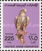 Falcon, Definitive - Emirati Arabi Uniti