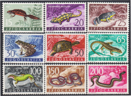 Yugoslavia 905/13 1962 Fauna Animales Diversos MNH - Otros & Sin Clasificación