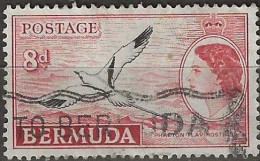 BERMUDA 1953 White Tailed Tropic Bird - 8d - Black And Red AVU - Bermuda