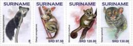 Suriname 2024, Monkey, 4val - Singes