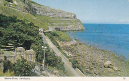 AK 206416 WALES - Llandudno - Marine Drive - Caernarvonshire