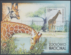 Cuba HB 223 2007 Parque Zoologico Nacional MNH - Andere & Zonder Classificatie