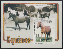 Cuba HB 206 2005 Caballos Horses MNH - Sonstige & Ohne Zuordnung