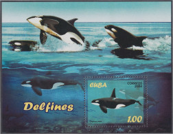 Cuba HB 193 2004 Fauna Marina MNH - Otros & Sin Clasificación