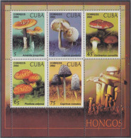 Cuba HB 171 2002 Setas MNH - Andere & Zonder Classificatie