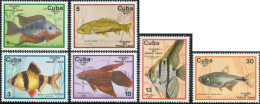 FAU5  Cuba   Nº 1993/98  1977   MNH - Other & Unclassified