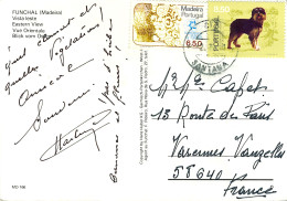 Cpsm Funchal (Madeira) --> Varennes-Vauzelles (58) - 2 Timbres Portugal 1981 - Oblitérés