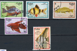 CUBA -  POISSONS  N°Yt 1993/1997 Obli. - Usados