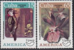 Upaep Cuba 4115/16 2003 Xiphidiopicus Encyclia MNH - Altri - America