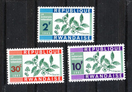 Rwanda  - 1963. I Tre Francobolli Della Serie Piante Del The. Tea Plants. The Three Stamps From The Series MNH - Piante Medicinali