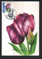 BUZIN / CARTE MAX / COB 3549 / TULIPE REMBRANDT - 2001-2010