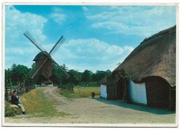 Belgique. CPM. Limbourg. Genk. Domaine Provincial De Bokrijk (Domein Bokrijk, Openluchtmuseum, Standerdolen Etc..) - Genk