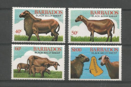 Barbados 1982 Black Belly Sheep  Y.T. 541/544 ** - Barbados (1966-...)