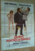 AFFICHE CINEMA FILM ESCROC MACHO ET GIGOLO Bruno CORBUCCI BUD SPENCER 1983 TBE DESSIN T. BEAUVAIS - Affiches & Posters