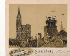 Gruss Aus Strafsburg - Vorlaufer 19.8.1890! Mit Bahpoststempel - Selten Im Gruss Aus AK! - Pájaros