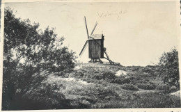 Koksijde De Oude Molen - Koksijde