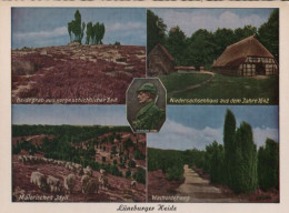 37418 - Lüneburger Heide - U.a. Niedersachsenhaus - Ca. 1960 - Lüneburger Heide