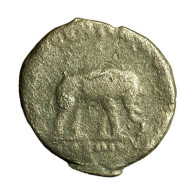 Roman Coin Antoninus Pius AS AE25mm Head / Elephant 04229 - The Anthonines (96 AD To 192 AD)