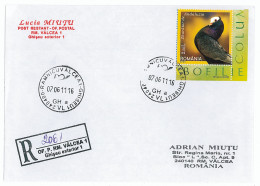 NCP 38 - 2061-a DOVE, Romania - Registered - 2011 - Columbiformes