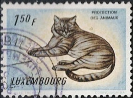 Luxemburg - Hauskatze (MiNr: 638) 1961 - Gest Used Obl - Usati