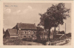 Mere : De Molen (uitgave Weduwe Schelfhout Teerlinckstraat) - Erpe-Mere