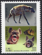 Ethiopia 2022 Spotted Hyena Crocuta Crocuta Reprint Revalued 10Br From 5Br Text Changed Mint - Etiopia