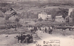 SAINT ETIENNE DE TINEE(MARCHE) - Saint-Etienne-de-Tinée