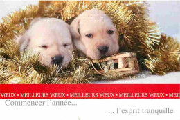 Animaux - Chiens - Chiots - CPM - Voir Scans Recto-Verso - Chiens