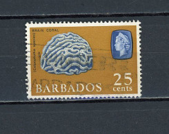 BARBADE (GB) - FAUNE MARINE  - N° Yvert 252 Obli. - Barbados (...-1966)