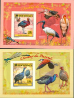 Burundi 2014 - Les Oiseaux Du Burundi - Echassiers - 4 Blocs De Luxe ND - Nuevos