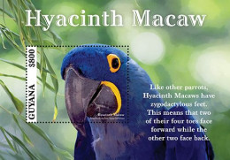 2023-06 - GUYANA- HYACINTH MACAW             1V  MNH** - Papegaaien, Parkieten