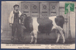 CPA Vétérinaire Vache Pontivy Circulé - Cows