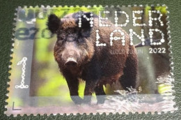 Nederland - NVPH - 4049 - 2022 - Gebruikt - Used - Beleef De Natuur - Wild Zwijn - Used Stamps