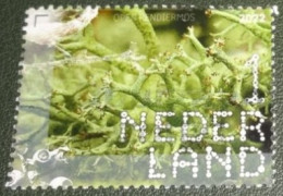 Nederland - NVPH - 4047 - 2022 - Gebruikt - Used - Beleef De Natuur - Open Rendiermos - Usados