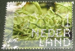 Nederland - NVPH - 4047 - 2022 - Gebruikt - Used - Beleef De Natuur - Open Rendiermos - Used Stamps
