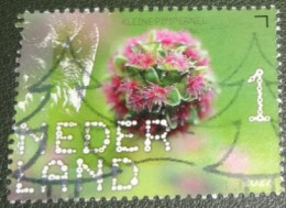 Nederland - NVPH - 4029 - 2022 - Gebruikt - Used - Beleef De Natuur - Kleine Pimpernel - Usati