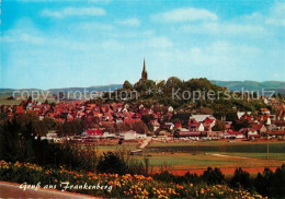 73155325 Frankenberg Eder Panorama Frankenberg Eder - Frankenberg (Eder)