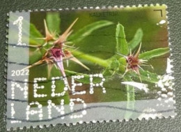 Nederland - NVPH - 4035 - 2022 - Gebruikt - Used - Beleef De Natuur - Kalketrip - Used Stamps