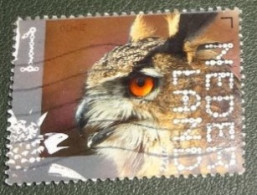 Nederland - NVPH - 4036 - 2022 - Gebruikt - Used - Beleef De Natuur - Oehoe - Used Stamps