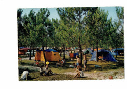 Cpm - Dans Les Landes - Camping Sous Les Pins - Tente Enfants Jeu Boule De Pétanque Ballon - 1969 - Bowls