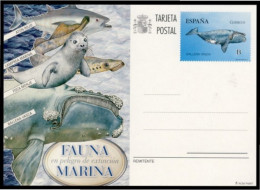 España Spain Entero Postal ( Tarjeta ) 193 2013 Fauna Marina Peligro Extinción - Andere & Zonder Classificatie