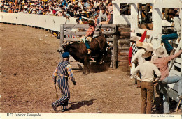 BRITISH COLUMBIA INTERIOR STAMPEDE - PHOTO BY ROBERT D. WING - TREASURE ENTERPRISES - - Otros & Sin Clasificación