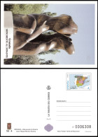 España Tarjetas Del Correo Y De Iniciativa Privada 81 2002 Monumento Al Donant - Cartas & Documentos