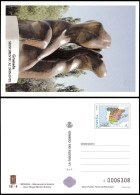 España Tarjetas Del Correo Y De Iniciativa Privada 81 2002 Monumento Al Donant - Brieven En Documenten